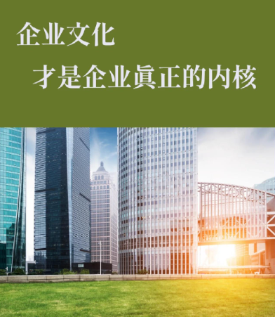 成都迪吉企业软件定制服务解析：如何为政企单位量身打造管理软件