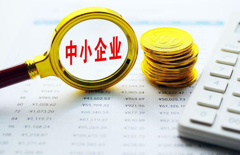 成都迪吉信息技术企业软件定制与传统套装软件的功能差异分析